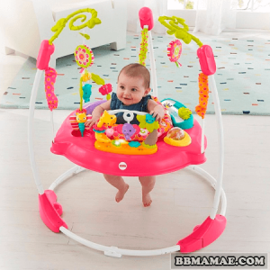 Alugar Jumperoo Pink Petals - Fisher Price