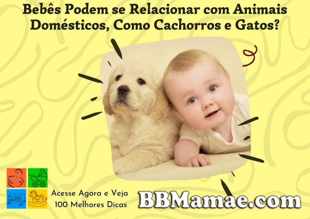 Bebês Podem se Relacionar Com Animais Domésticos, Como Cachorros e Gatos?