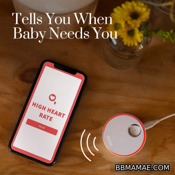 Alugar Meia Inteligente Baby Monitor - Owlet - Imagem 7